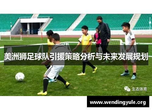美洲狮足球队引援策略分析与未来发展规划