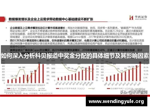 如何深入分析科贝报道中奖金分配的具体细节及其影响因素
