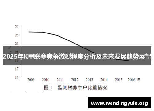 2025年K甲联赛竞争激烈程度分析及未来发展趋势展望