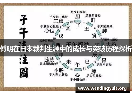 傅明在日本裁判生涯中的成长与突破历程探析