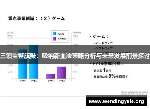 三镇重整旗鼓：吸纳新血液策略分析与未来发展前景探讨