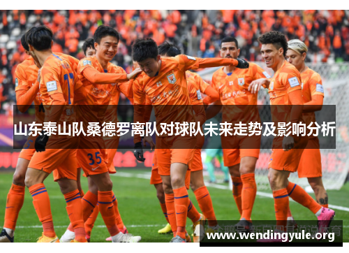 山东泰山队桑德罗离队对球队未来走势及影响分析