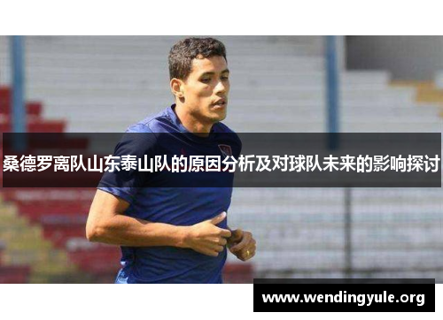 桑德罗离队山东泰山队的原因分析及对球队未来的影响探讨