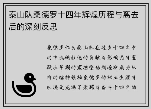 泰山队桑德罗十四年辉煌历程与离去后的深刻反思