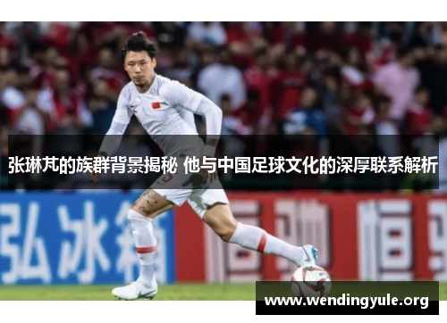 张琳芃的族群背景揭秘 他与中国足球文化的深厚联系解析