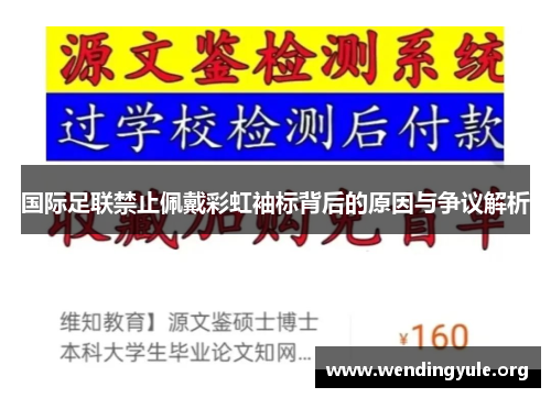 国际足联禁止佩戴彩虹袖标背后的原因与争议解析