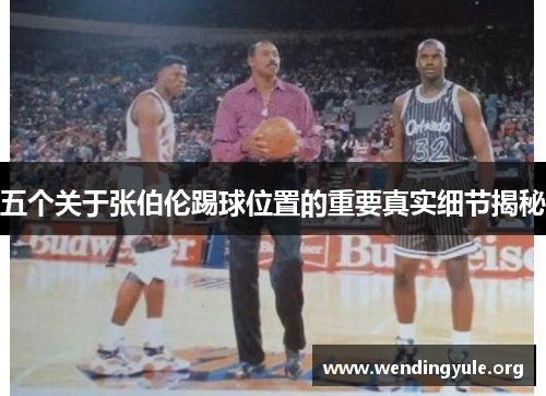 五个关于张伯伦踢球位置的重要真实细节揭秘