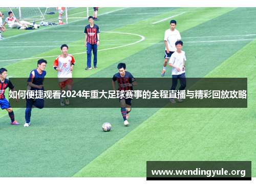 如何便捷观看2024年重大足球赛事的全程直播与精彩回放攻略