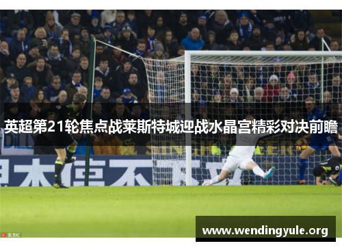 英超第21轮焦点战莱斯特城迎战水晶宫精彩对决前瞻