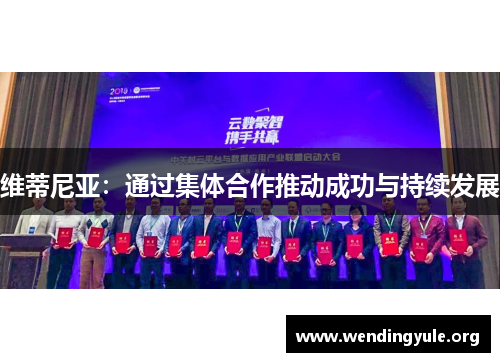 维蒂尼亚:通过集体合作推动成功与持续发展 维蒂尼亚:通过集体合作推动成功与持续发展