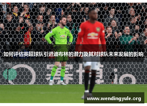 如何评估英超球队引进迪布林的潜力及其对球队未来发展的影响 如何评估英超球队引进迪布林的潜力及其对球队未来发展的影响