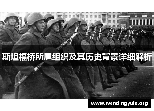 斯坦福桥所属组织及其历史背景详细解析