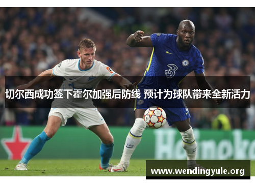 切尔西成功签下霍尔加强后防线 预计为球队带来全新活力