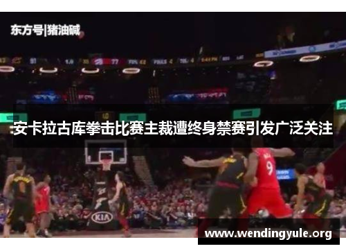 安卡拉古库拳击比赛主裁遭终身禁赛引发广泛关注