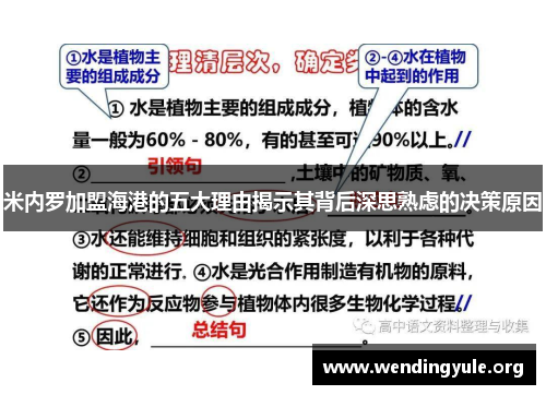 米内罗加盟海港的五大理由揭示其背后深思熟虑的决策原因